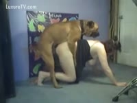 Bitch lifts her costume for a dog fuck